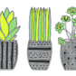Team Succulent Mug