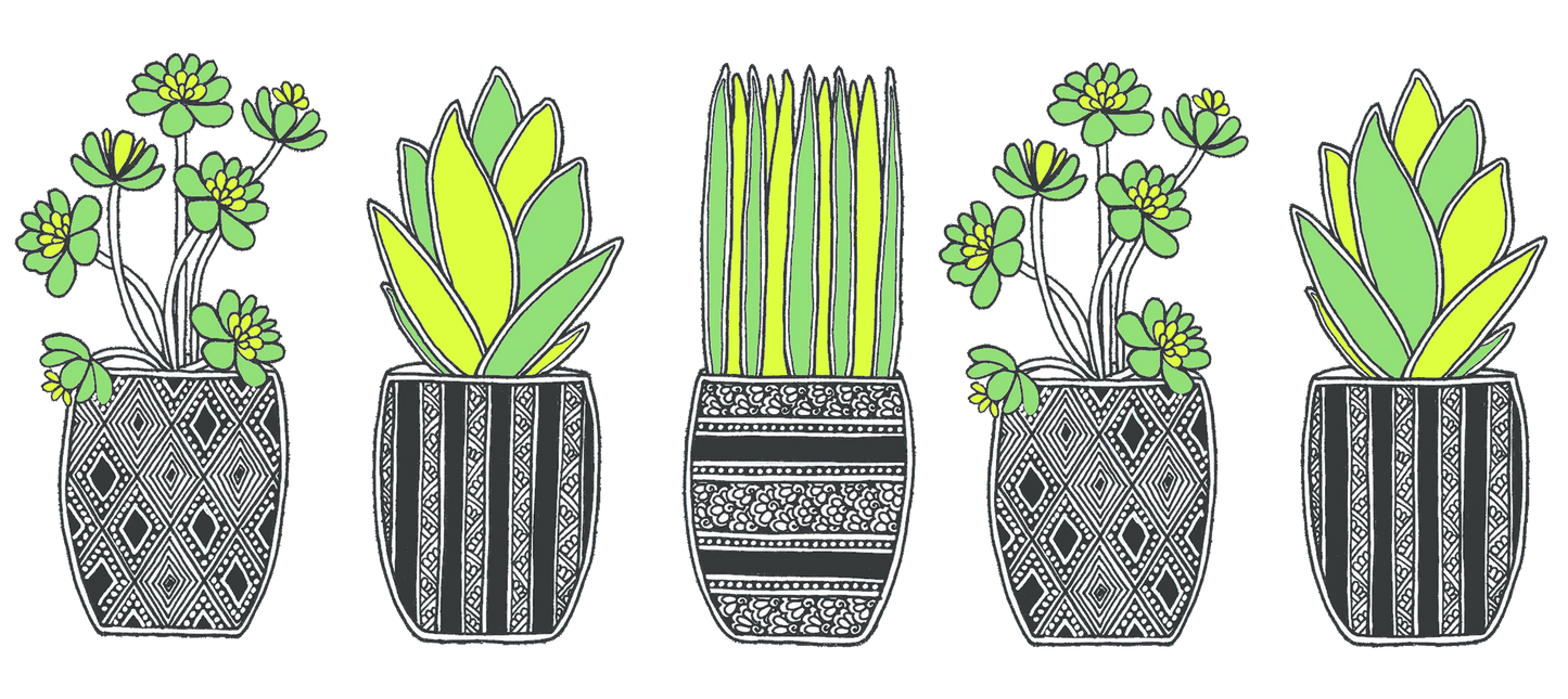 Team Succulent Mug
