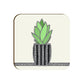 Team Succulent  (Set of 4)