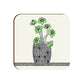 Team Succulent  (Set of 4)