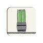 Team Succulent  (Set of 4)