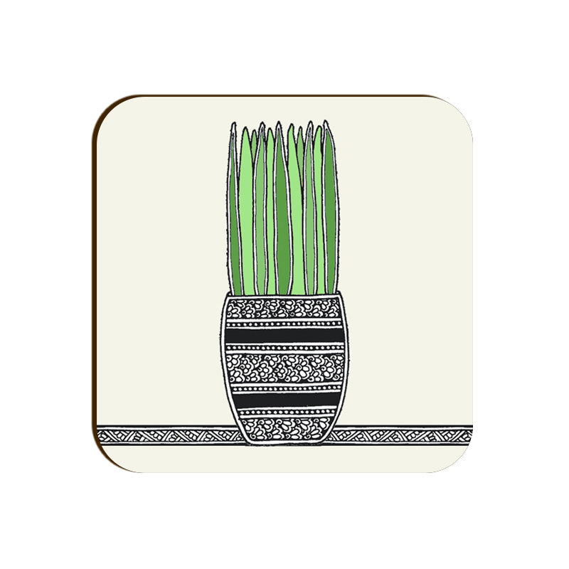 Team Succulent  (Set of 4)