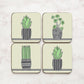 Team Succulent  (Set of 4)
