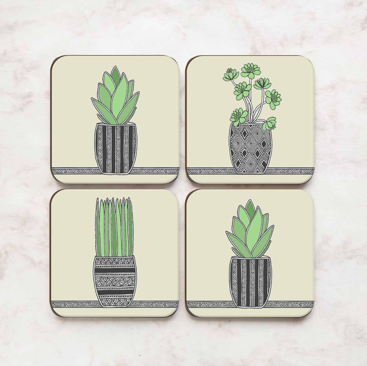 Team Succulent  (Set of 4)
